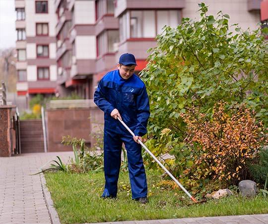 Уборка территории в Пскове и  Псковской области